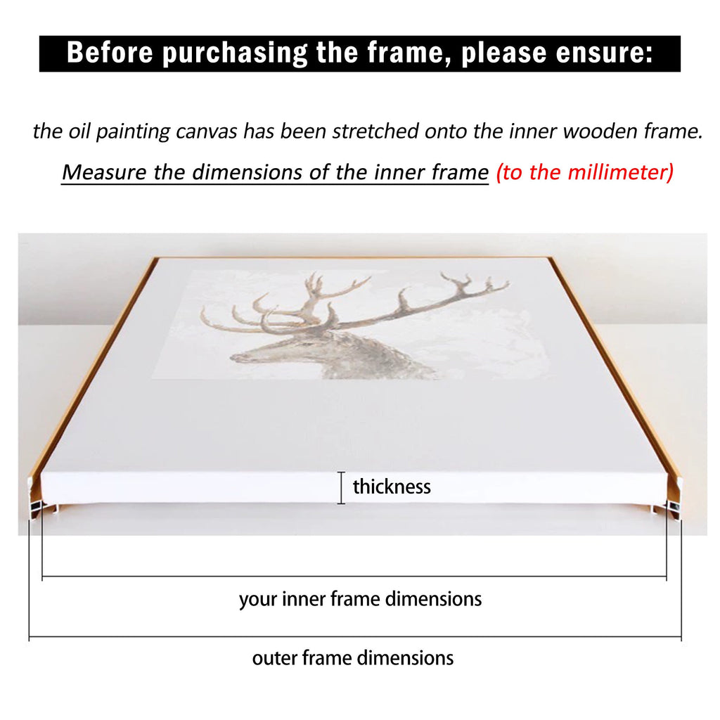 Custom frame, Floater frame for canvas paintings,large stretch frame,frame canvas wall art,just empty frame